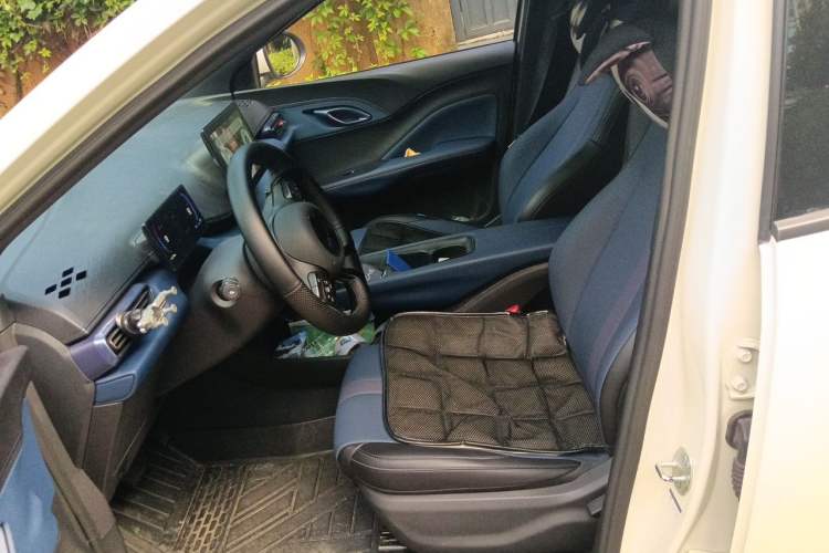 Used BYD Seagull 2025 305km Active Version Left Front Seat