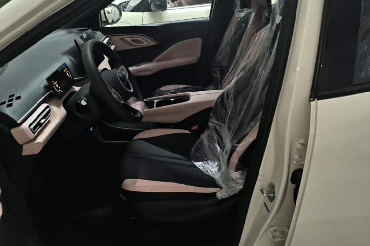 Used BYD Seagull 2025 305km Active Version Left Front Seat