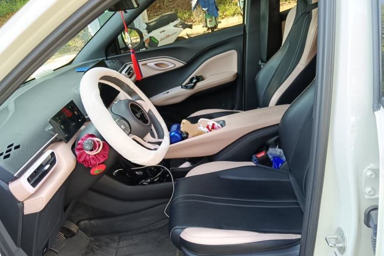 Used BYD Seagull 2025 305km Active Version Left Front Seat