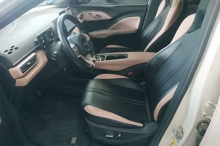 Used BYD Seagull 2025 405 km Flying Edition Left Front Seat
