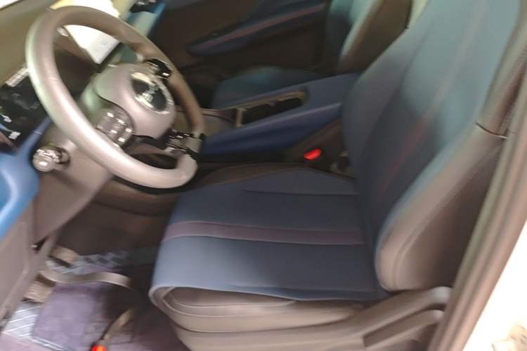 Used BYD Seagull 2025 305km Active Version Left Front Seat
