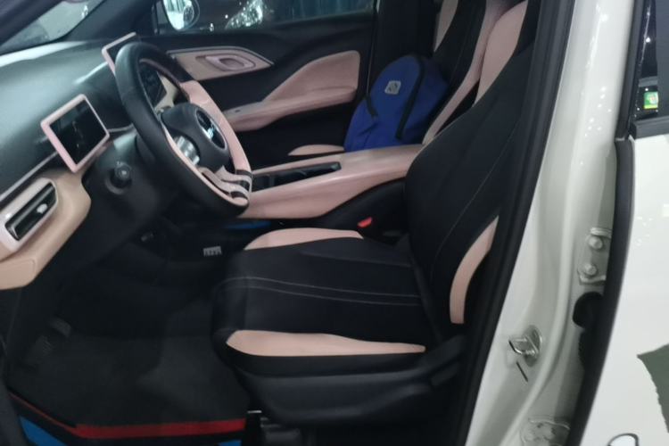 Used BYD Seagull 2025 305km Active Version Left Front Seat