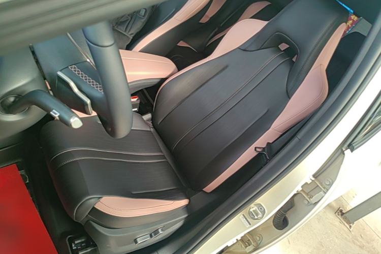Used BYD Seagull 2025 Smart Drive Version 305 km Freedom Edition Left Front Seat