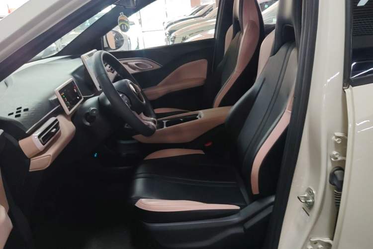 Used BYD Seagull 2025 305km Active Version Left Front Seat