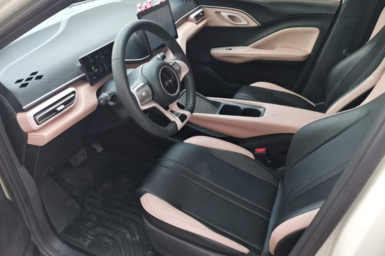 Used BYD Seagull 2025 305km Active Version Left Front Seat