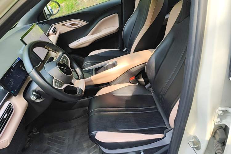 Used BYD Seagull 2025 Smart Drive Version 305 km Freedom Edition Left Front Seat