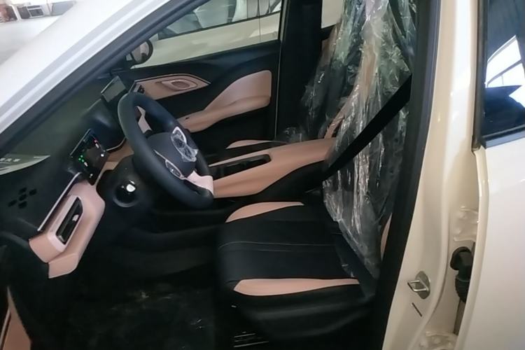 Used BYD Seagull 2025 Intelligent Driving Version 305 km Dynamic Edition Left Front Seat
