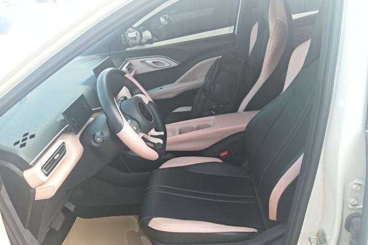 Used BYD Seagull 2025 305km Active Version Left Front Seat
