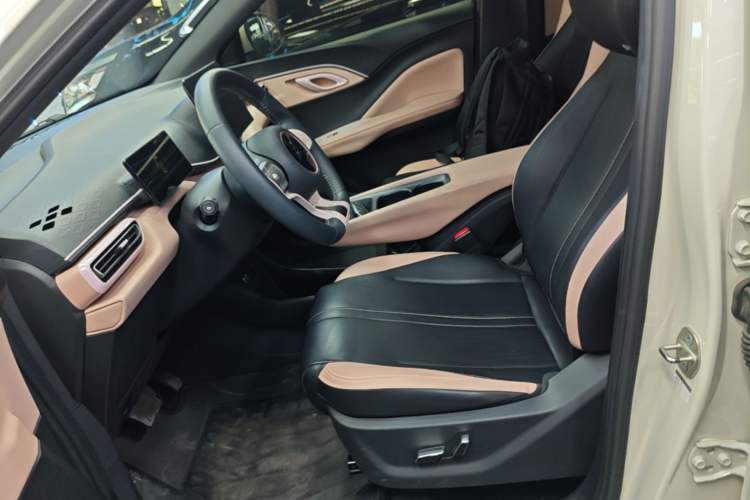 Used BYD Seagull 2025 305 km Free Version Left Front Seat
