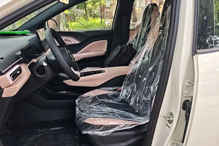 Used BYD Seagull 2025 305km Active Version Left Front Seat