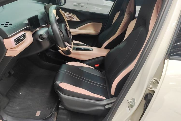 Used BYD Seagull 2025 305km Active Version Left Front Seat