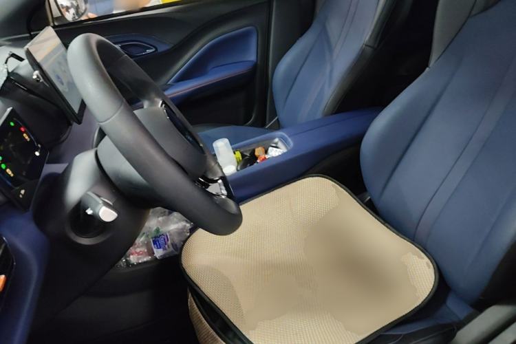 Used BYD Seagull 2025 305km Active Version Left Front Seat