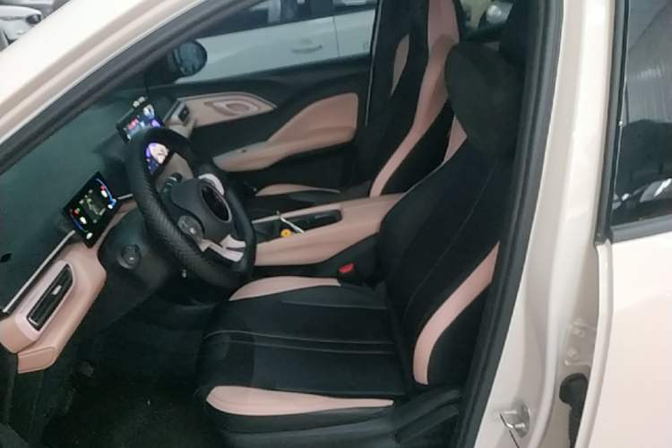 Used BYD Seagull 2025 305km Active Version Left Front Seat