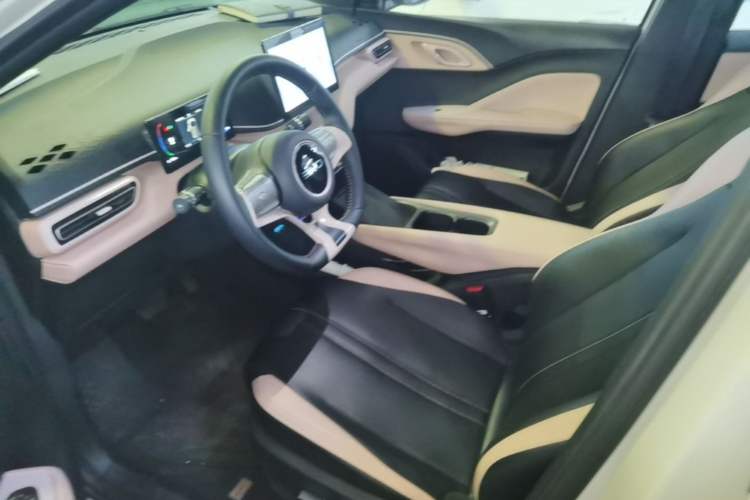 Used BYD Seagull 2025 305 km Free Version Left Front Seat