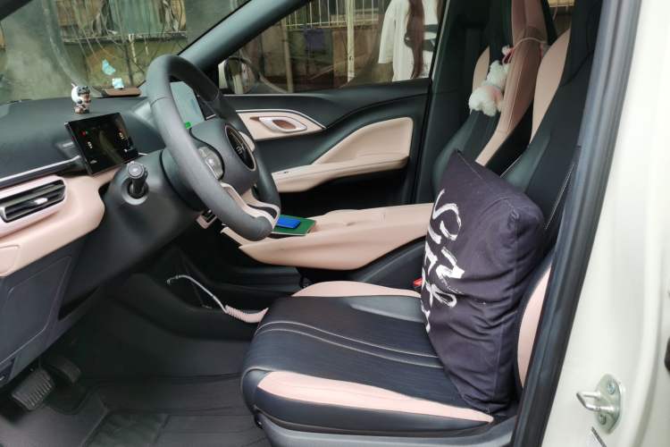 Used BYD Seagull 2025 305km Active Version Left Front Seat