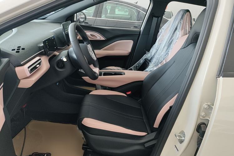 Used BYD Seagull 2025 305km Active Version Left Front Seat
