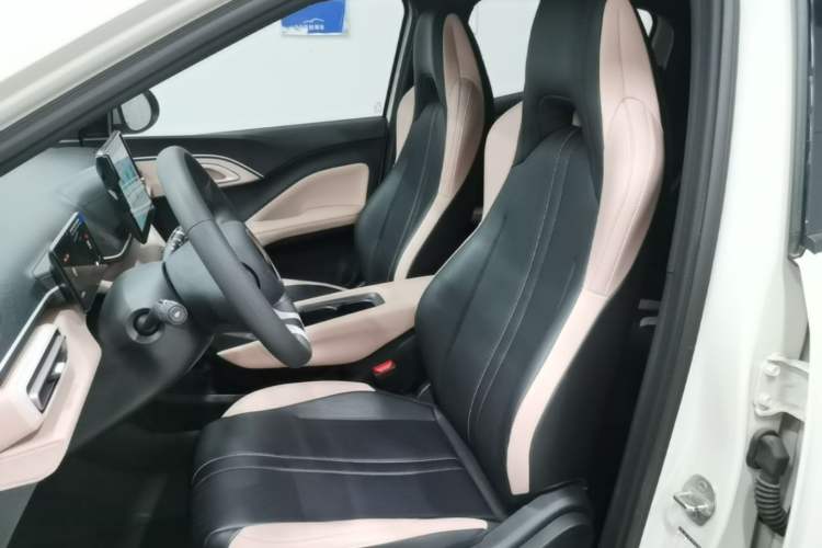 Used BYD Seagull 2025 305km Active Version Left Front Seat