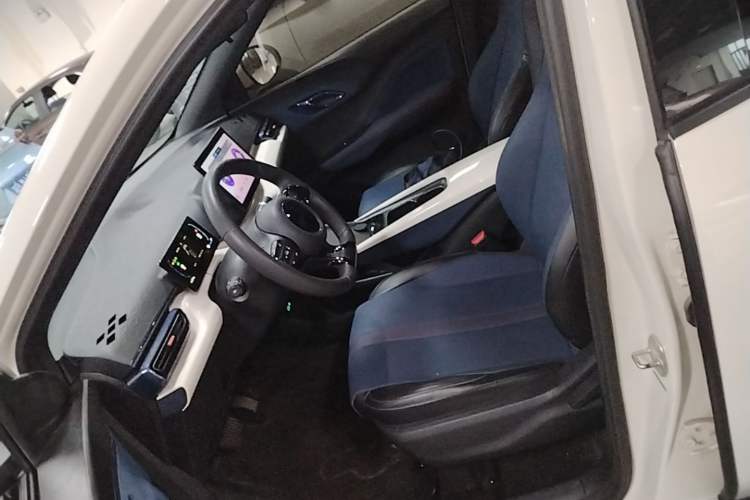 Used BYD Seagull 2025 305km Active Version Left Front Seat