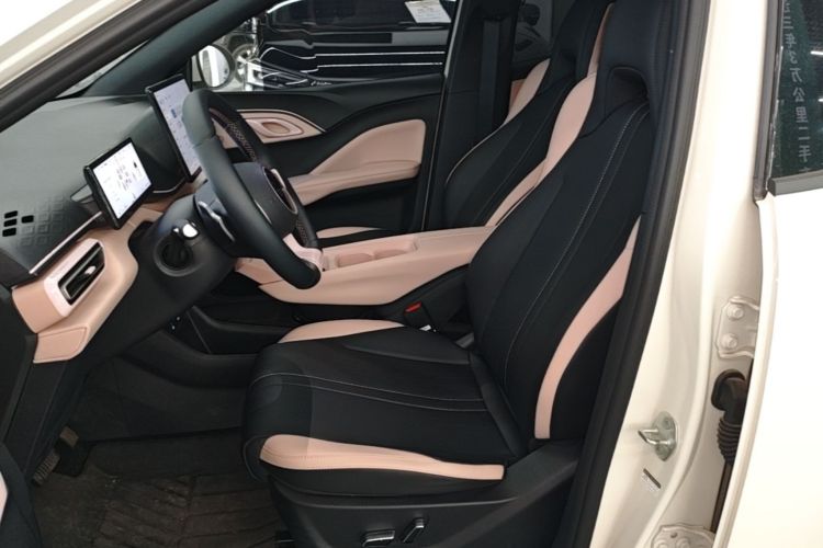 Used BYD Seagull 2025 305 km Free Version Left Front Seat