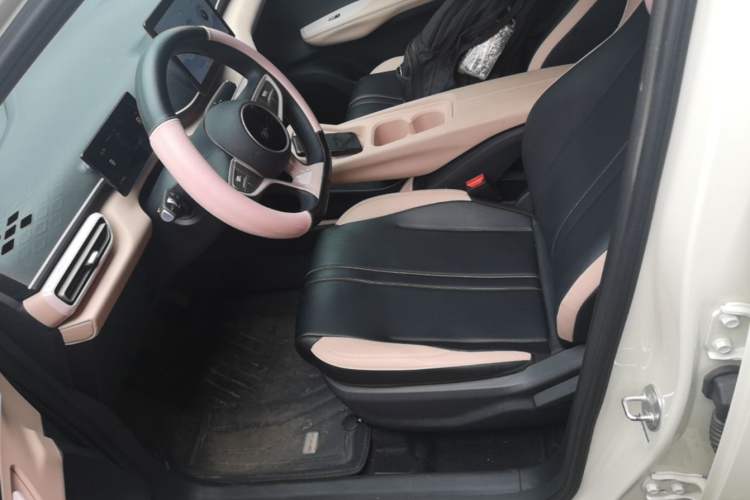 Used BYD Seagull 2025 305km Active Version Left Front Seat