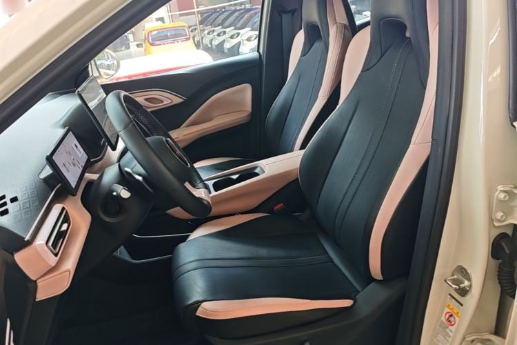 Used BYD Seagull 2025 Intelligent Driving Version 405 km Flying Edition Left Front Seat