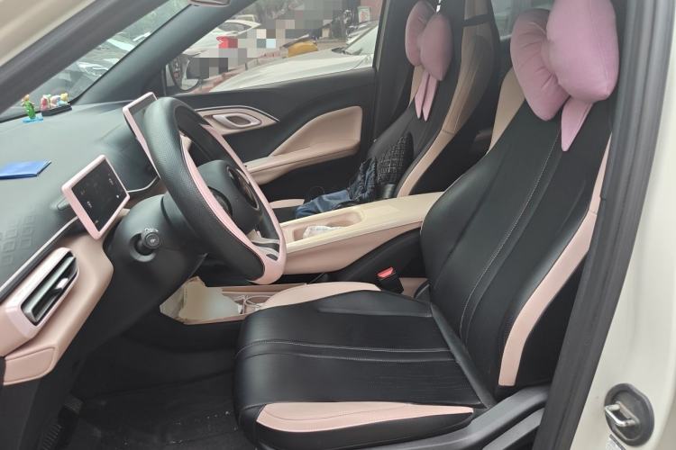 Used BYD Seagull 2025 305km Active Version Left Front Seat