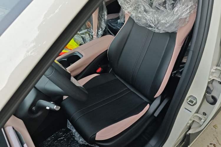 Used BYD Seagull 2025 Intelligent Driving Version 305 km Dynamic Edition Left Front Seat