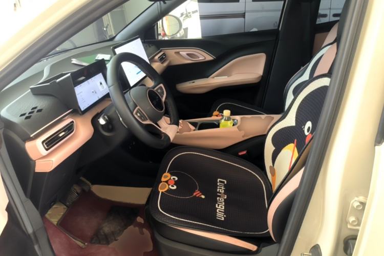 Used BYD Seagull 2025 Smart Drive Version 305 km Freedom Edition Left Front Seat