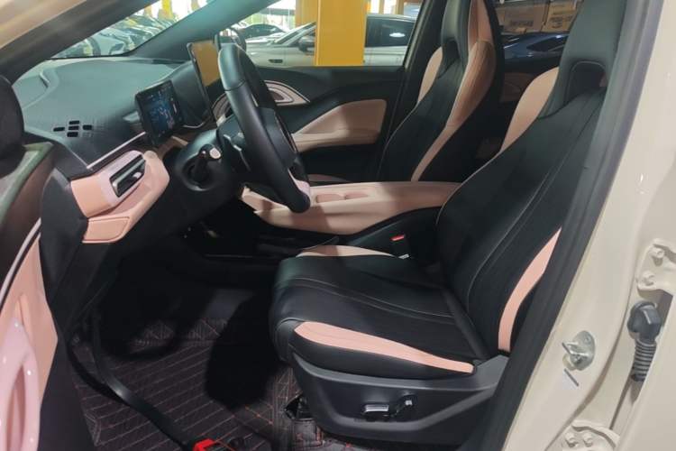 Used BYD Seagull 2025 Smart Drive Version 305 km Freedom Edition Left Front Seat