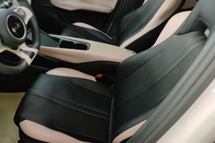 Used BYD Seagull 2025 305km Active Version Left Front Seat