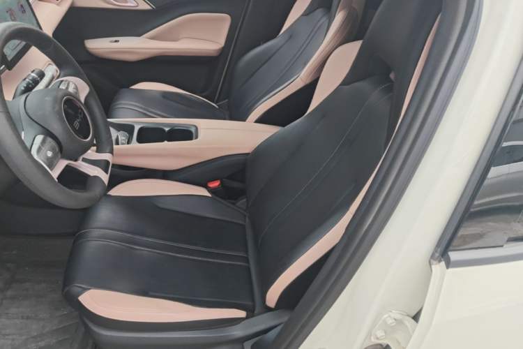 Used BYD Seagull 2025 305km Active Version Left Front Seat