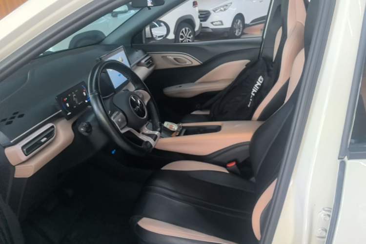 Used BYD Seagull 2025 305km Active Version Left Front Seat