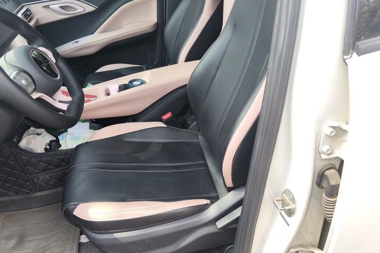 Used BYD Seagull 2025 305km Active Version Left Front Seat