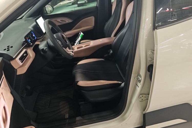 Used BYD Seagull 2025 305km Active Version Left Front Seat