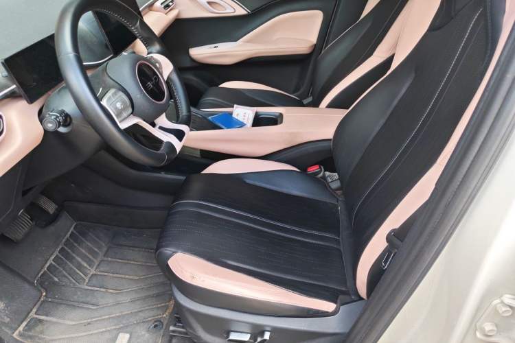 Used BYD Seagull 2025 405 km Flying Edition Left Front Seat