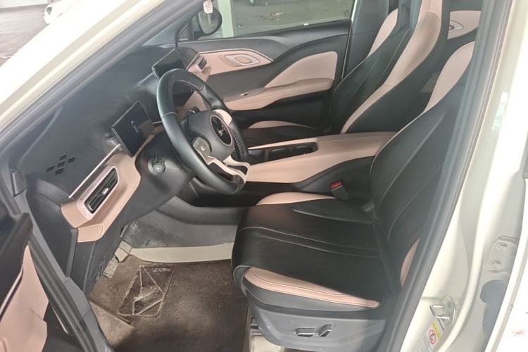 Used BYD Seagull 2025 405 km Flying Edition Left Front Seat