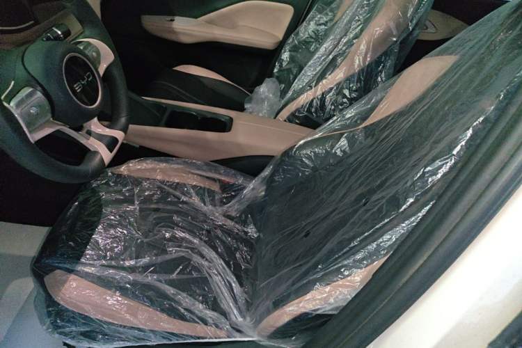 Used BYD Seagull 2025 305km Active Version Left Front Seat