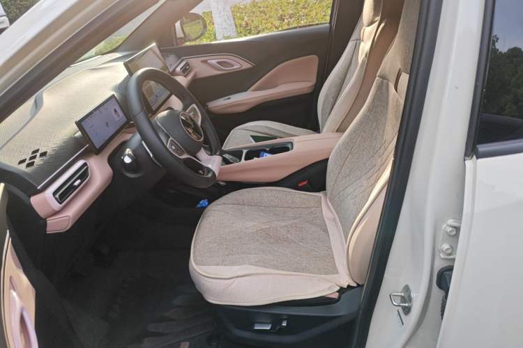 Used BYD Seagull 2025 Smart Drive Version 305 km Freedom Edition Left Front Seat