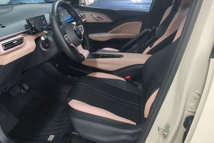 Used BYD Seagull 2025 305km Active Version Left Front Seat