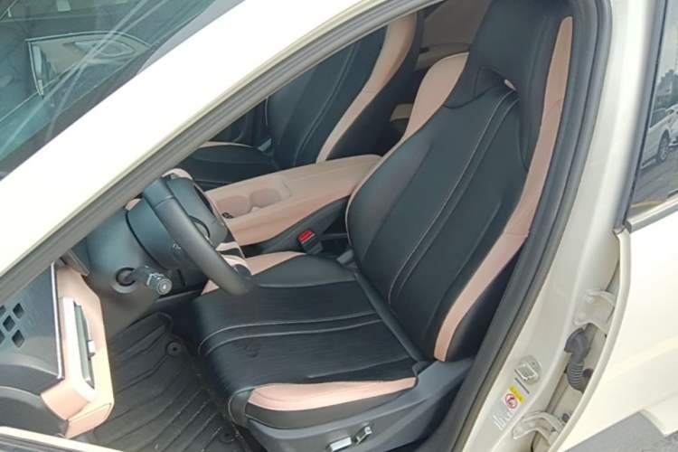 Used BYD Seagull 2025 405 km Flying Edition Left Front Seat
