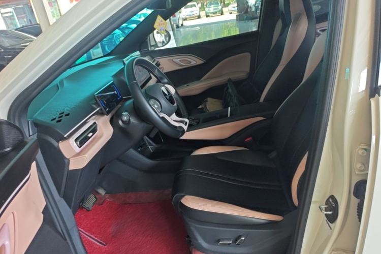 Used BYD Seagull 2025 305 km Free Version Left Front Seat