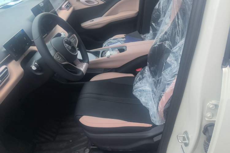 Used BYD Seagull 2025 Intelligent Driving Version 305 km Dynamic Edition Left Front Seat