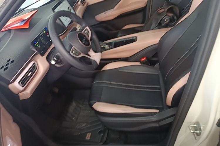 Used BYD Seagull 2025 305km Active Version Left Front Seat