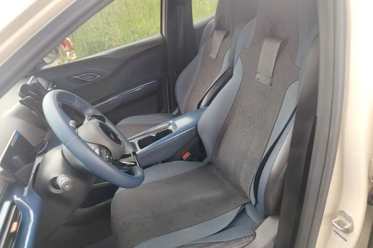 Used BYD Seagull 2025 305 km Free Version Left Front Seat