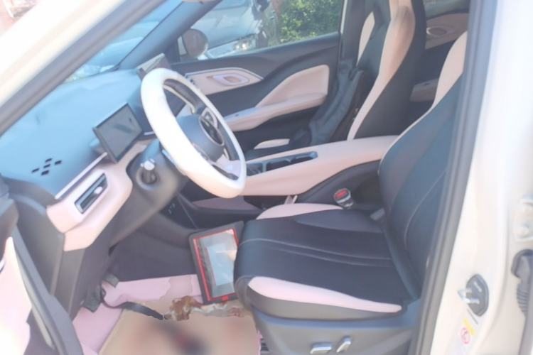 Used BYD Seagull 2025 Intelligent Driving Version 405 km Flying Edition Left Front Seat