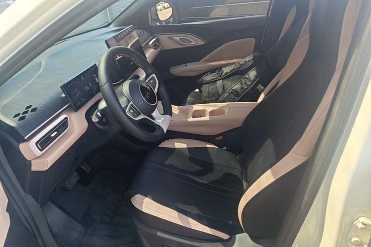 Used BYD Seagull 2025 Smart Drive Version 305 km Freedom Edition Left Front Seat