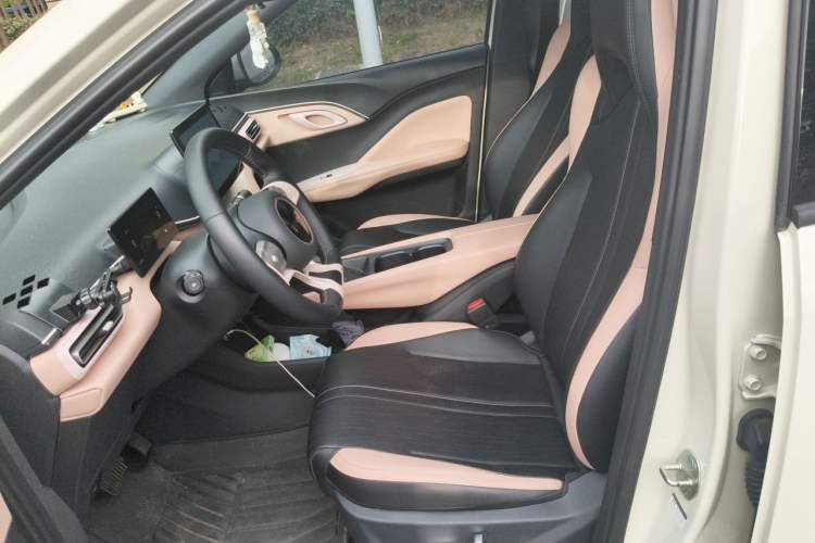 Used BYD Seagull 2025 305 km Free Version Left Front Seat