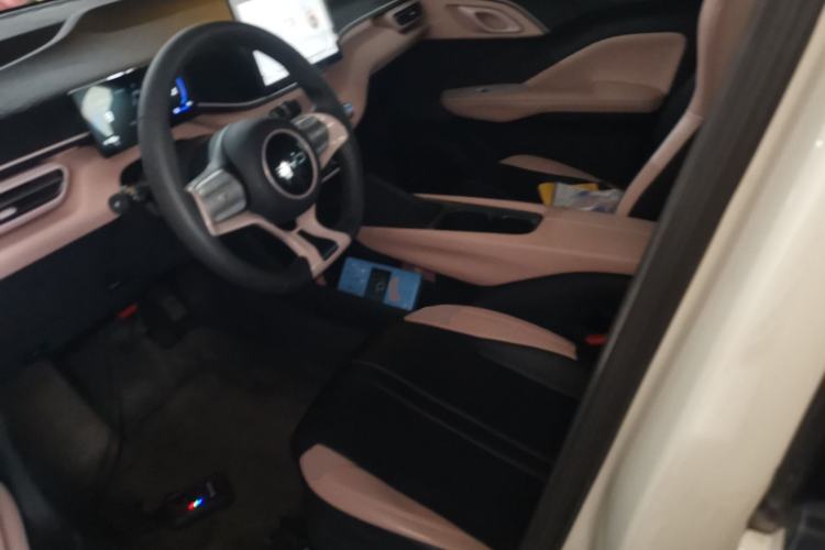 Used BYD Seagull 2025 305km Active Version Left Front Seat