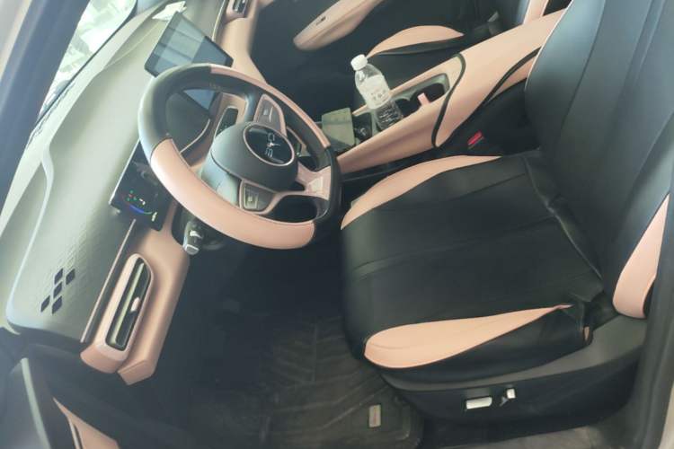 Used BYD Seagull 2025 Model Smart Drive Version 405km Free-Spirited Version Left Front Seat