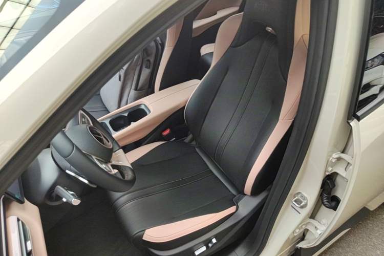 Used BYD Seagull 2025 Smart Drive Version 305 km Freedom Edition Left Front Seat